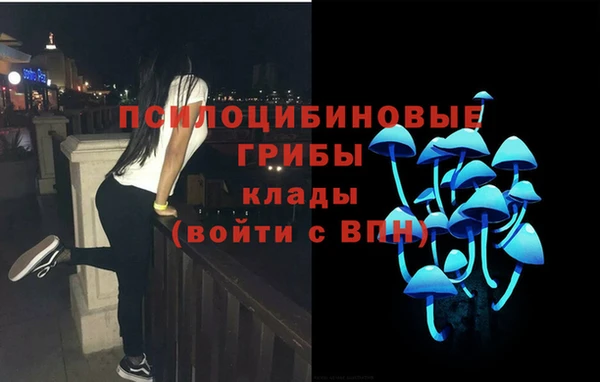 spice Пересвет