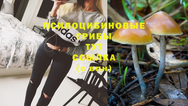 спиды Переславль-Залесский