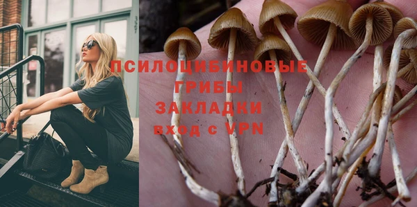 спиды Переславль-Залесский