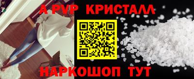 гашик Донской