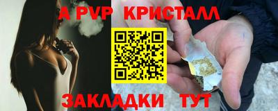гашик Донской