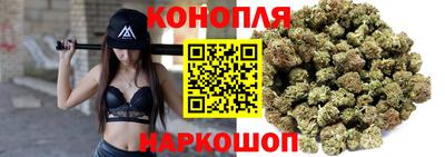 гашик Донской