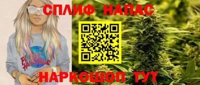 мет Дубна