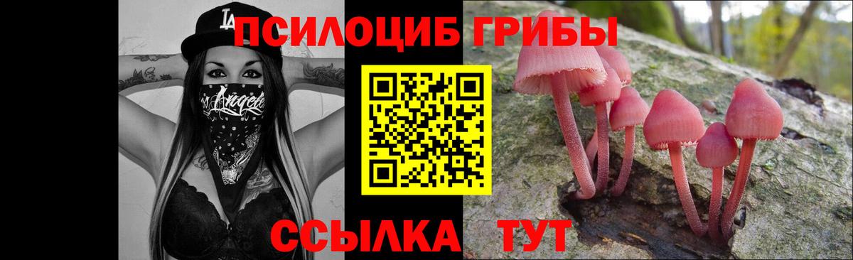 Псилоцибиновые грибы мухоморы Сертолово